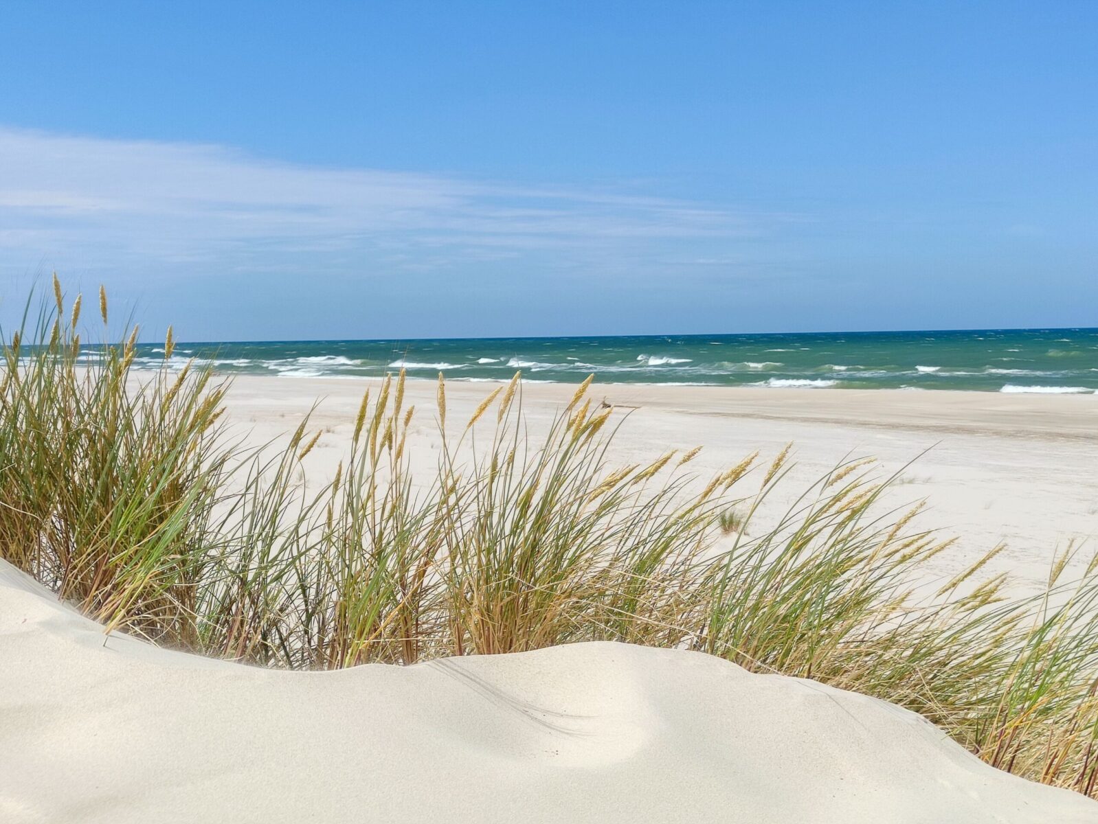Tranquil view of a sandy Baltic Sea beach with coastal grasses under a clear blue sky.